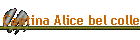 Cantina Alice bel colle
